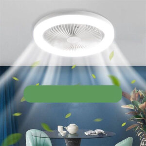 Modern fan and lighting