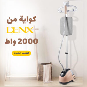 Denx 2000 Watt Iron Denx